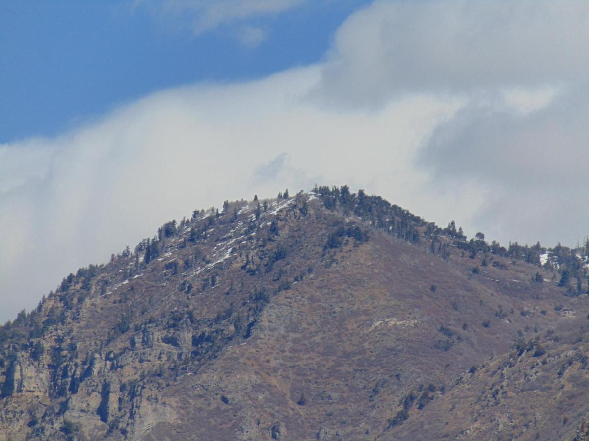 Hotel Express & Springville-south Provo Area By Ihg